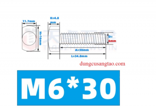 Bu lông T screw inox 304 tán siêu lớn (Bu lông chữ T)