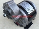 Motor xe điện - Hộp số 12V 250W MY1016Z