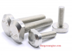 Bu lông T screw inox 304 tán siêu lớn (Bu lông chữ T)