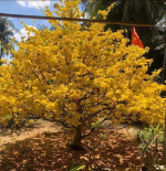 Thông báo nghỉ Lễ từ 29.4- 3.5.