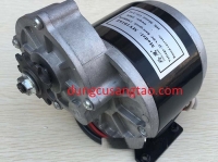 Motor xe điện - Hộp số 12V 250W MY1016Z