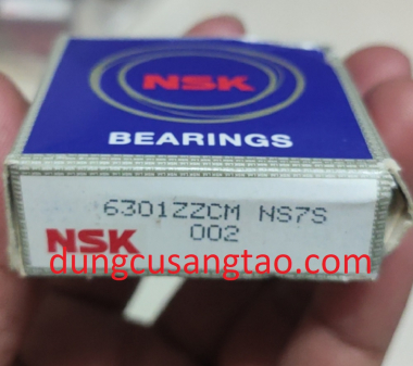 Bạc đạn NSK 6301